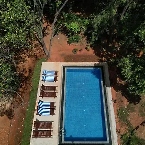  Lodge Isanka Lion Sri Lanka